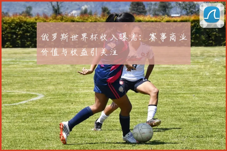 俄罗斯世界杯收入曝光：赛事商业价值与收益引关注