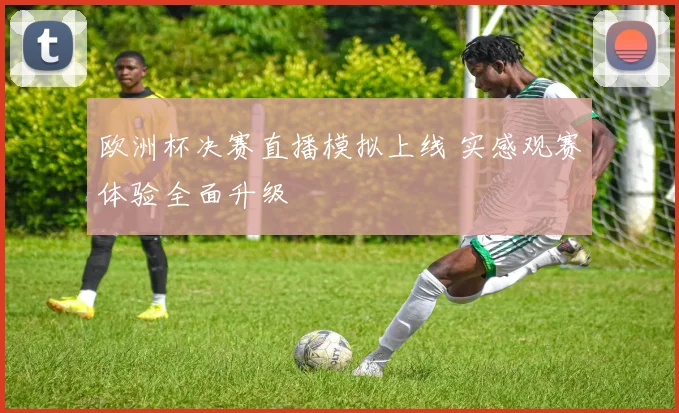 欧洲杯决赛直播模拟上线 实感观赛体验全面升级
